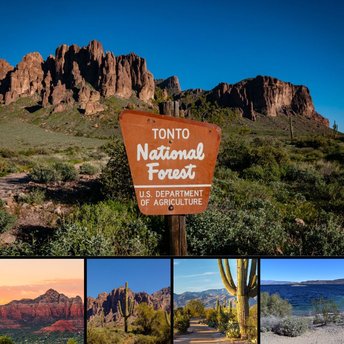 Investing in Our Future with Technology