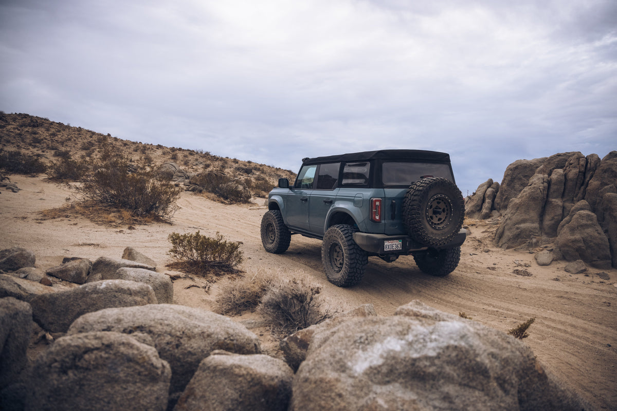 ADV Fiberglass 2021 Ford