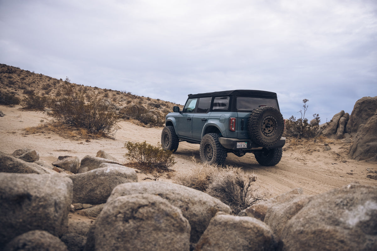 ADV Fiberglass 2021 Ford