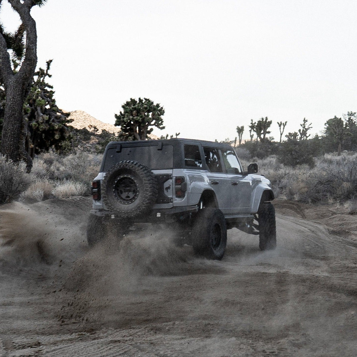 2022-2025 Ford Bronco Raptor Rear Quarter Kit