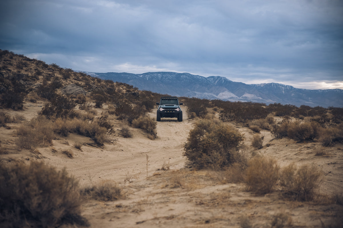 ADV Fiberglass 2021 Ford